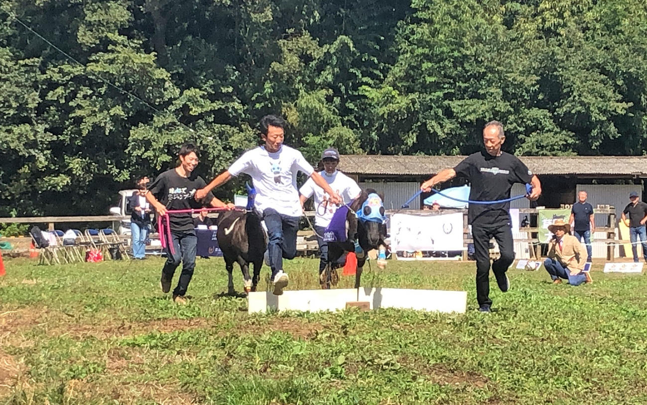 石神騎手（左）と長沼厩務員（右）に引かれながら飛越するコジュウチョウサン