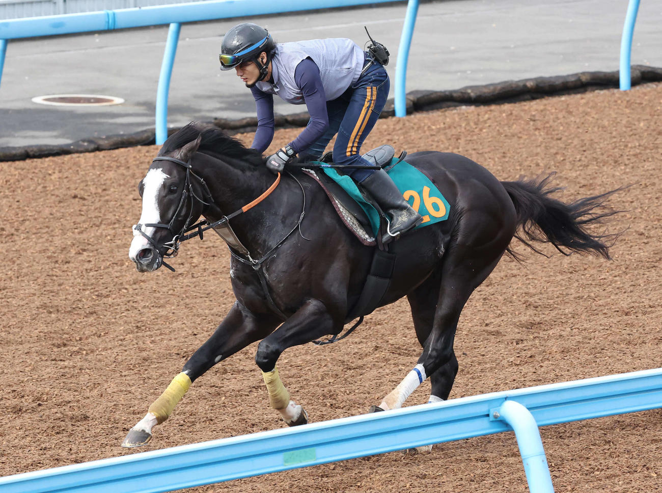 9月27日、シュトラウスは美浦ウッドを単走で追い切られた