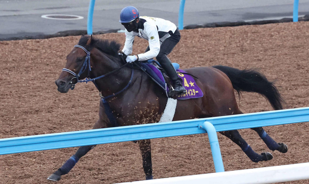 9月27日、シュネルマイスターは嶋田騎手を背に美浦ウッドを軽快なフットワークで駆け抜けた