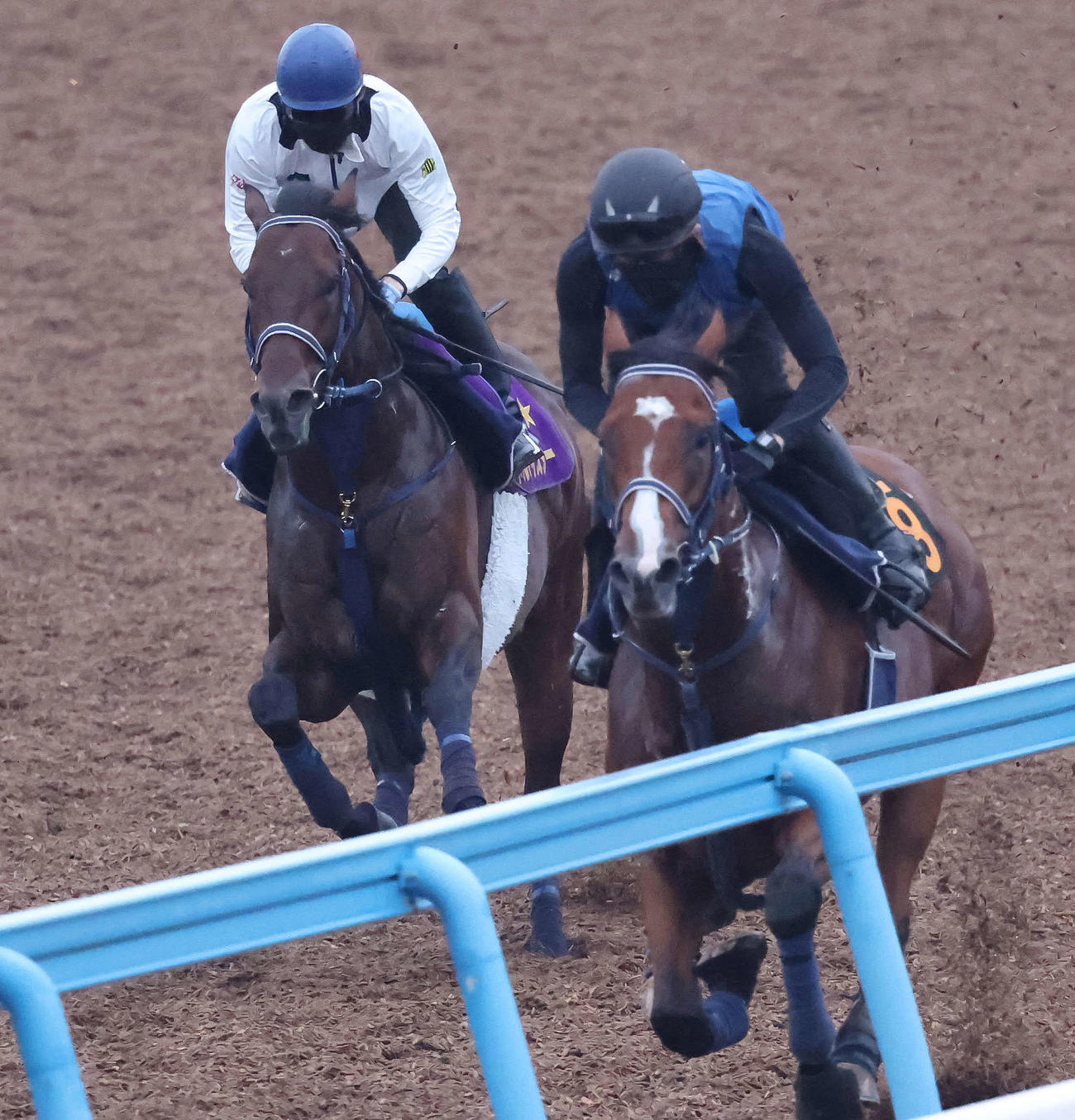 9月27日、シュネルマイスター（左）は嶋田騎手を背に美浦ウッドでフロムナウオンと併せて追い切られた