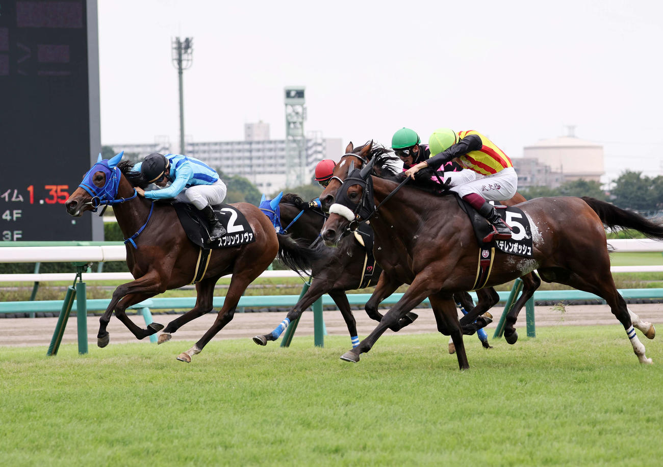 1日、サフラン賞を制したスプリングノヴァ（左）と菅原明良騎手（撮影・鈴木正人）