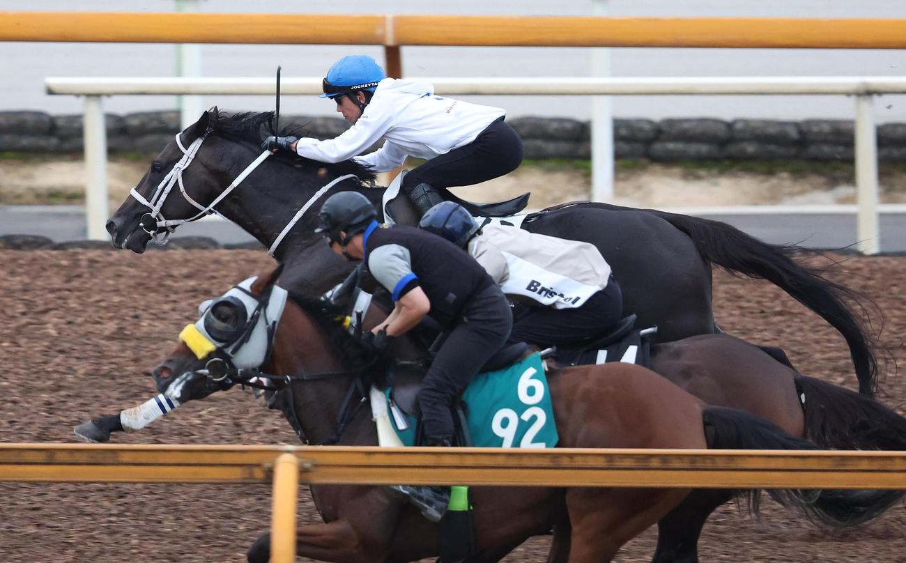 9月28日、和田竜騎手を背にCウッドを単走で追い切るディープボンド（奥）