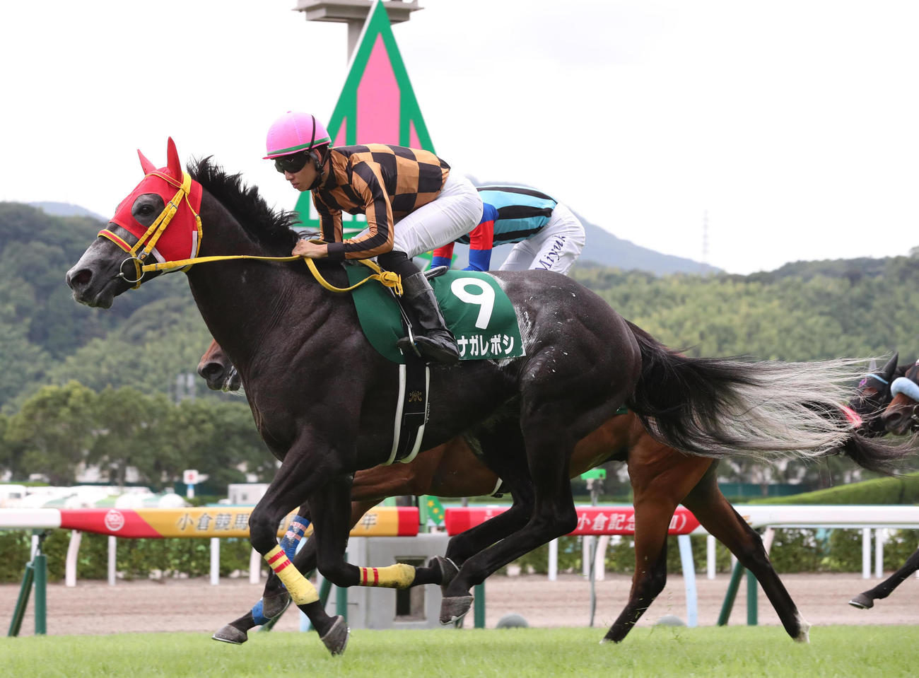 21年、小倉記念を制したモズナガレボシ