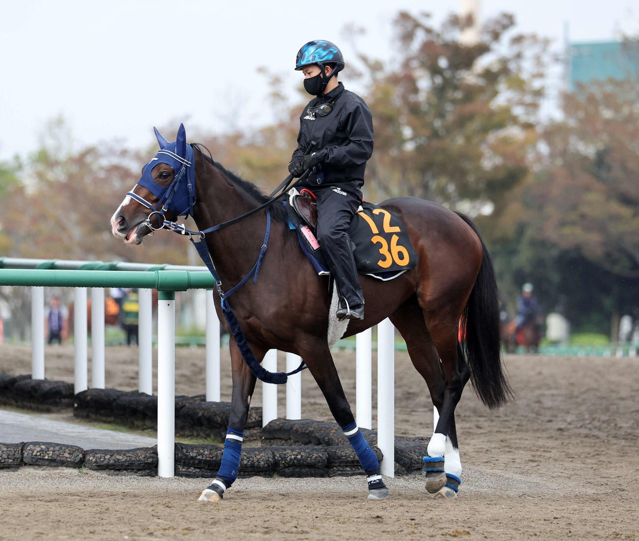 乗り運動するボンドガール（撮影・鈴木正人）