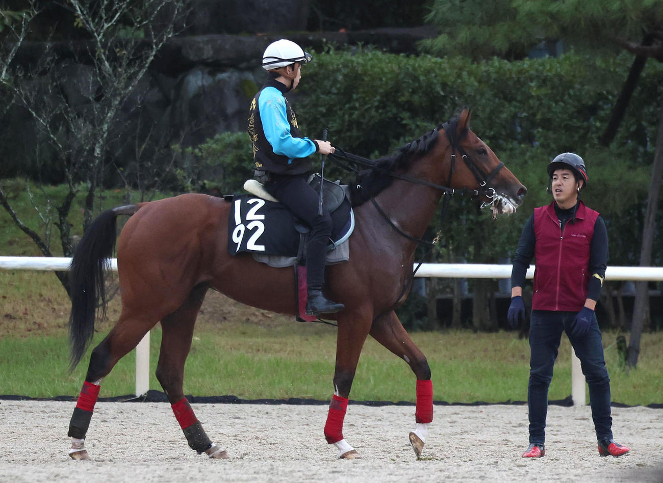 横山和騎手を背に調教から引き揚げるレーヴジーニアル（撮影・白石智彦）