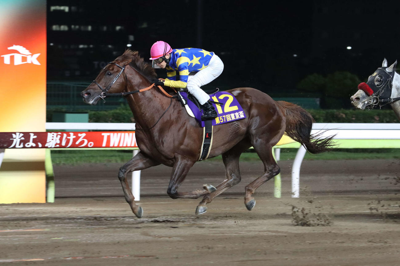 コースレコードで東京盃を制したドンフランキーと池添謙一騎手