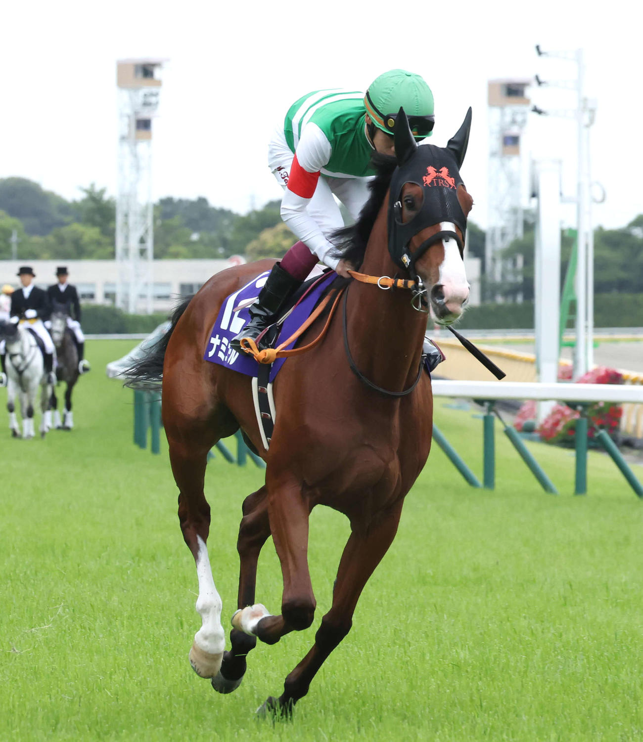 安田記念16着に敗れたナミュールと横山武騎手