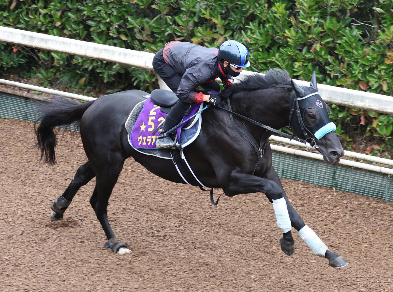 坂路を単走で追い切るヴェラアズール（撮影・白石智彦）
