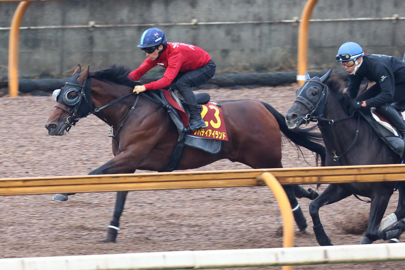 川田騎手が騎乗し、先行する併走馬を並ぶまもなく差し切ったリバティアイランド（左）