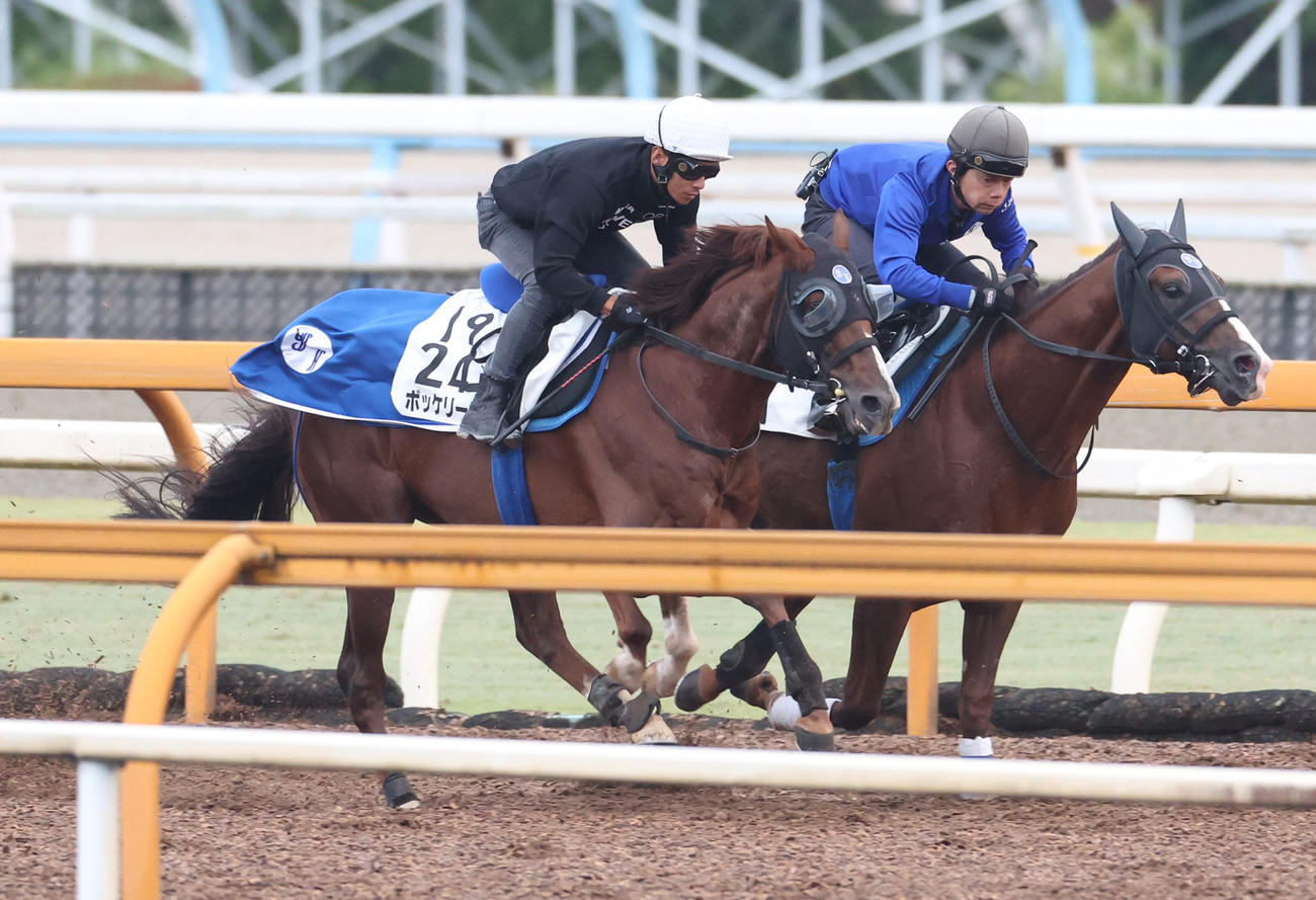 Cウッドで併せ馬で追い切るボッケリーニ（左）