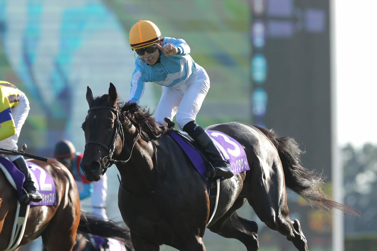 無敗の牝馬3冠を達成したデアリングタクト（2020年10月18日撮影）