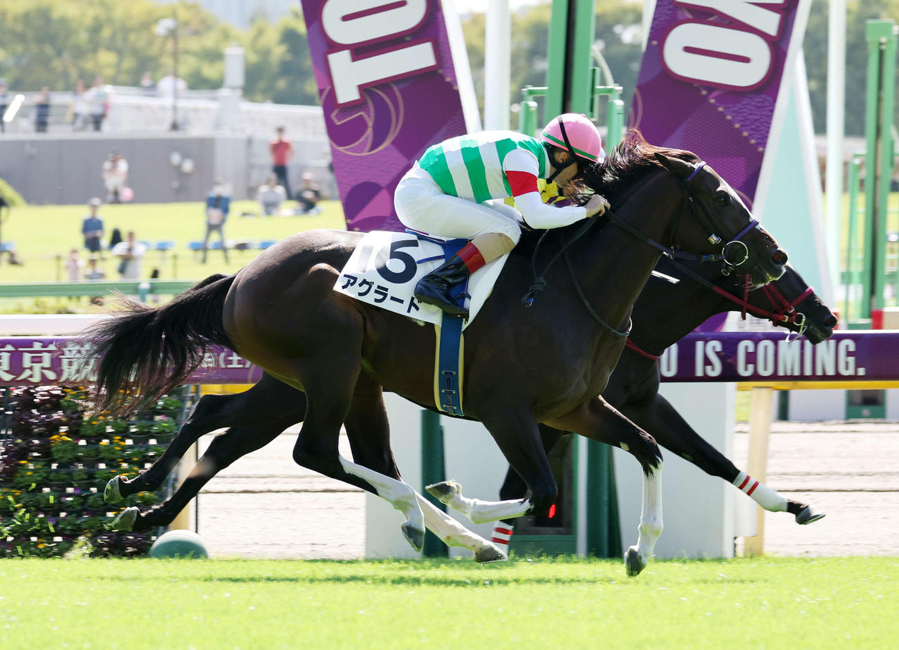 東京3R 2歳未勝利を制したアグラード（手前）（撮影・鈴木正人）