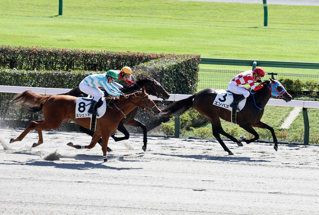 東京4R新馬戦を制したエンパス（右）と石橋脩騎手（撮影・鈴木正人）