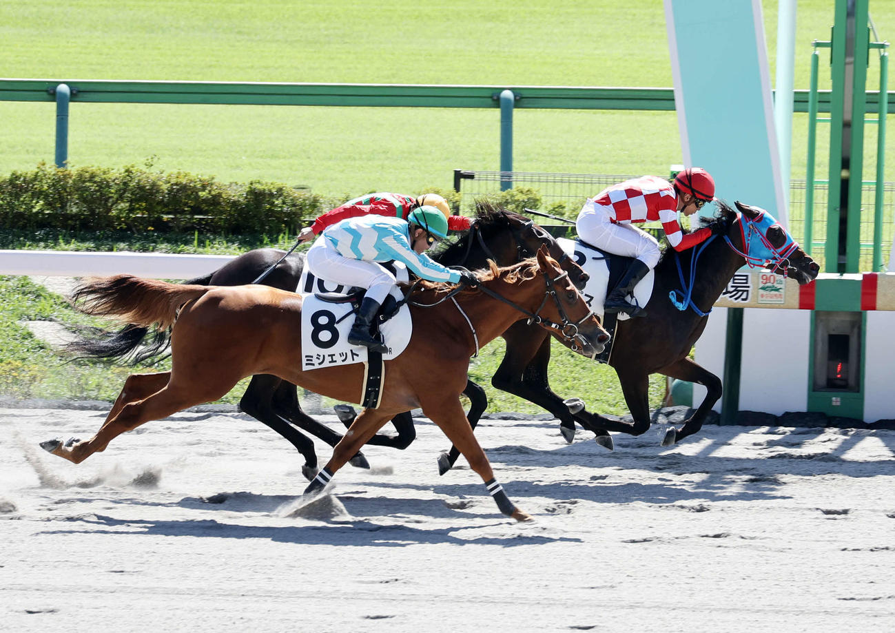 東京4R新馬戦を制したエンパス（右）と石橋脩騎手（撮影・鈴木正人）