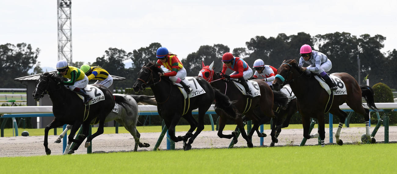 新馬戦を制したプシプシーナ（中央）（撮影・前岡正明）
