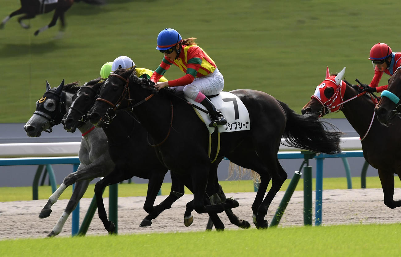 新馬戦を制したプシプシーナ（撮影・前岡正明）