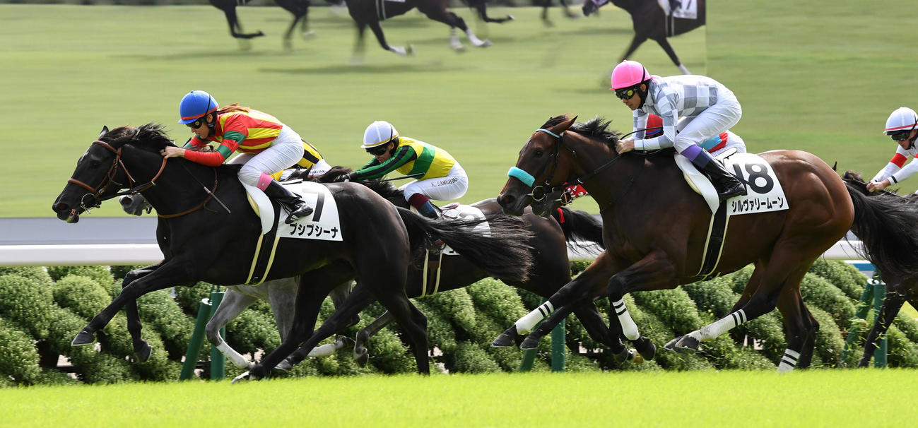 新馬戦を制したプシプシーナ（左）（撮影・前岡正明）