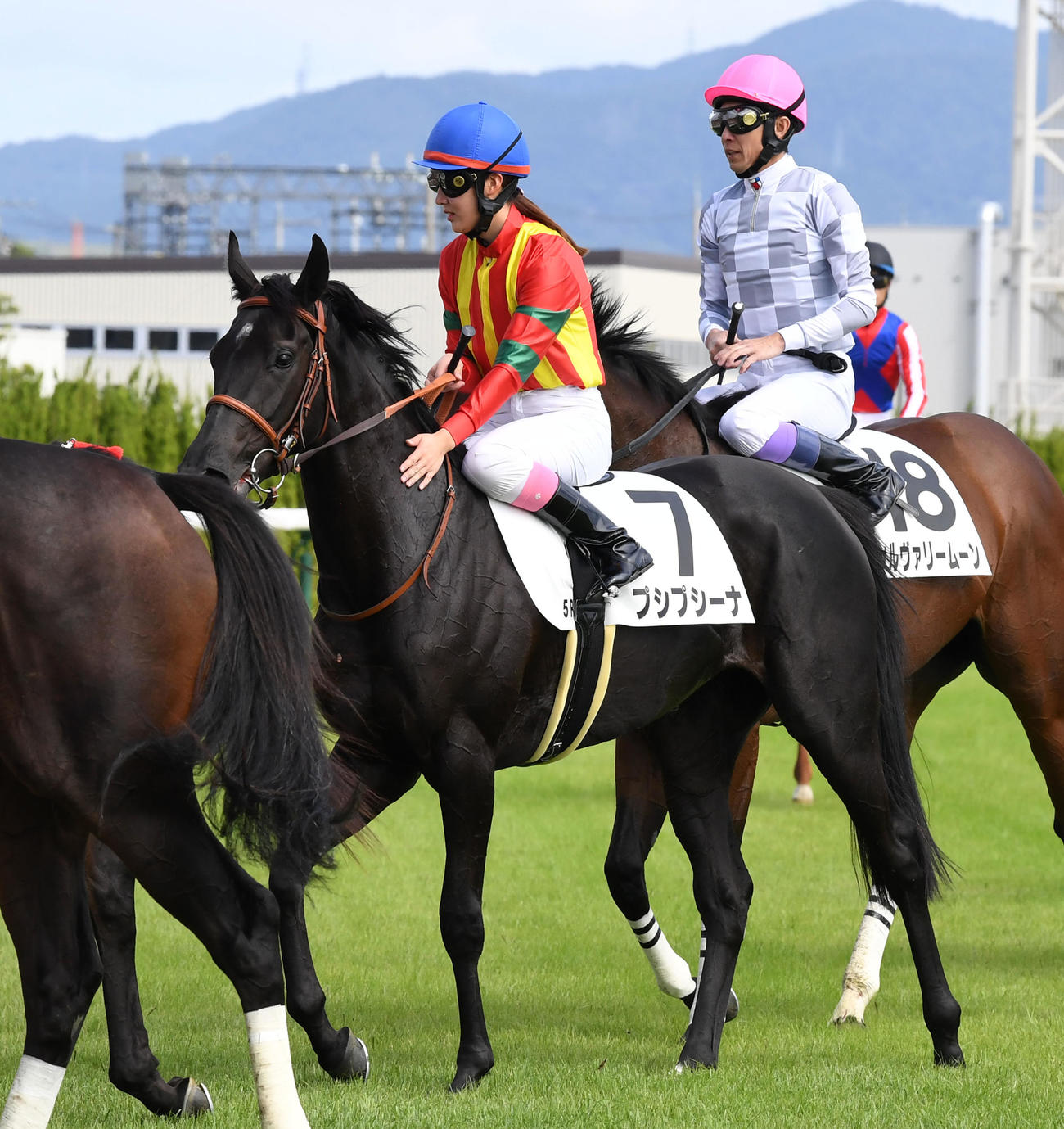 新馬戦を制したプシプシーナ（撮影・前岡正明）