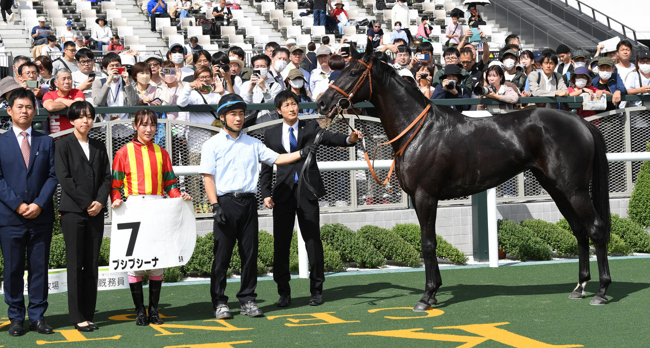 新馬戦を制したプシプシーナと永島騎手（撮影・前岡正明）