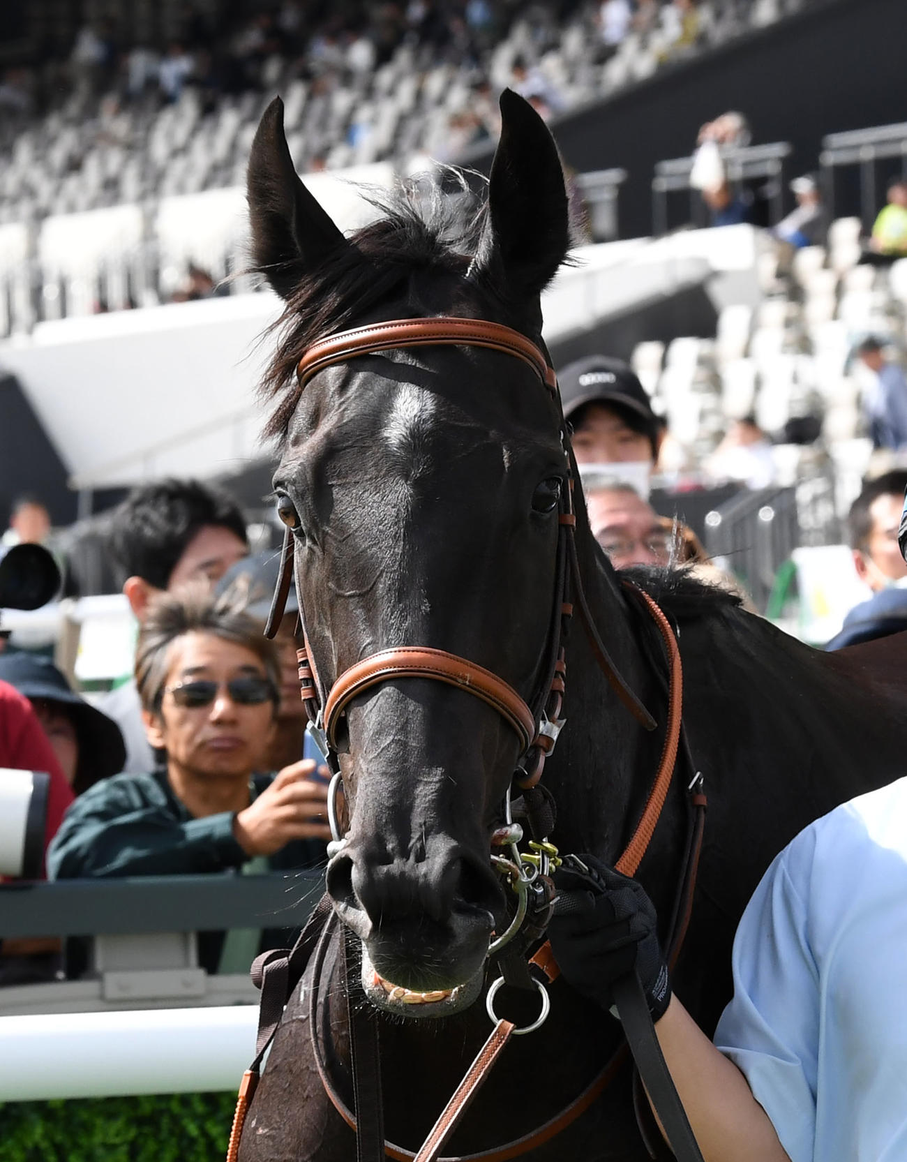 新馬戦を制したプシプシーナ（撮影・前岡正明）
