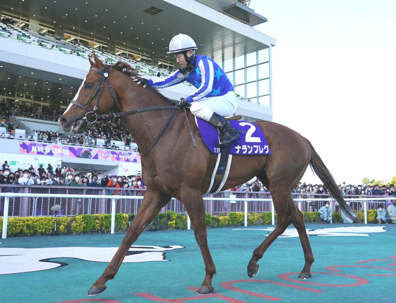 22年3月、高松宮記念を制したナランフレグの首筋をなでてねぎらう丸田恭介騎手