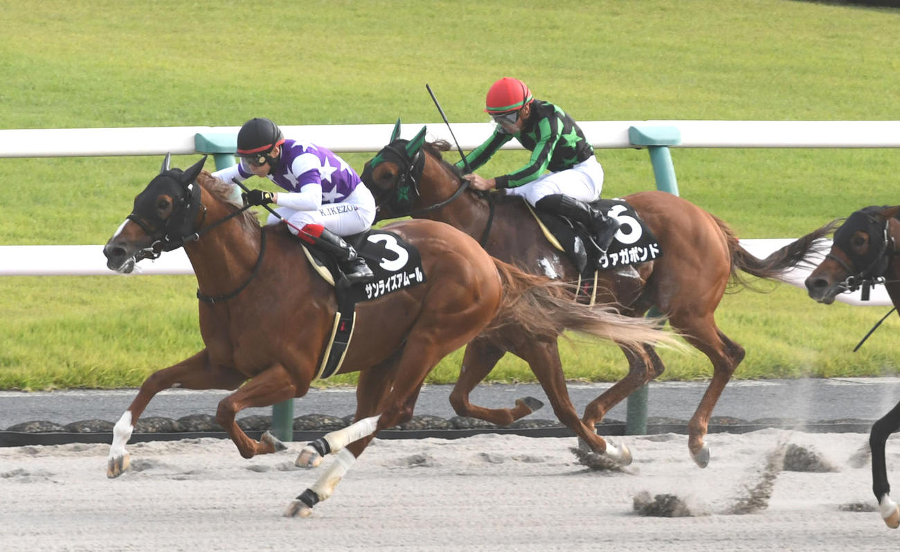 ゴール前、差し切って藤森Sを制したサンライズアムール（撮影・前岡正明）