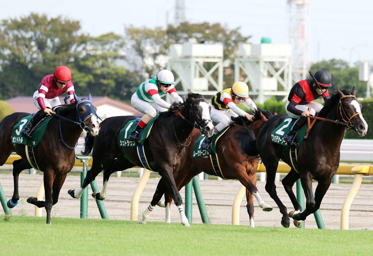 サウジRC3着に敗れたシュトラウス（左から2頭目）。右は勝ったゴンバデカーブース（撮影・鈴木正人）