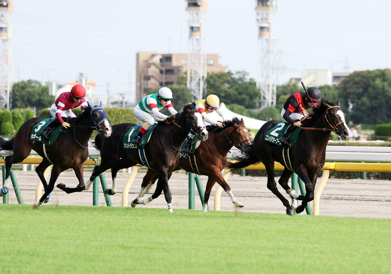 東京11R　サウジアラビアRCを制したゴンバデカーブース（右）（撮影・鈴木正人）