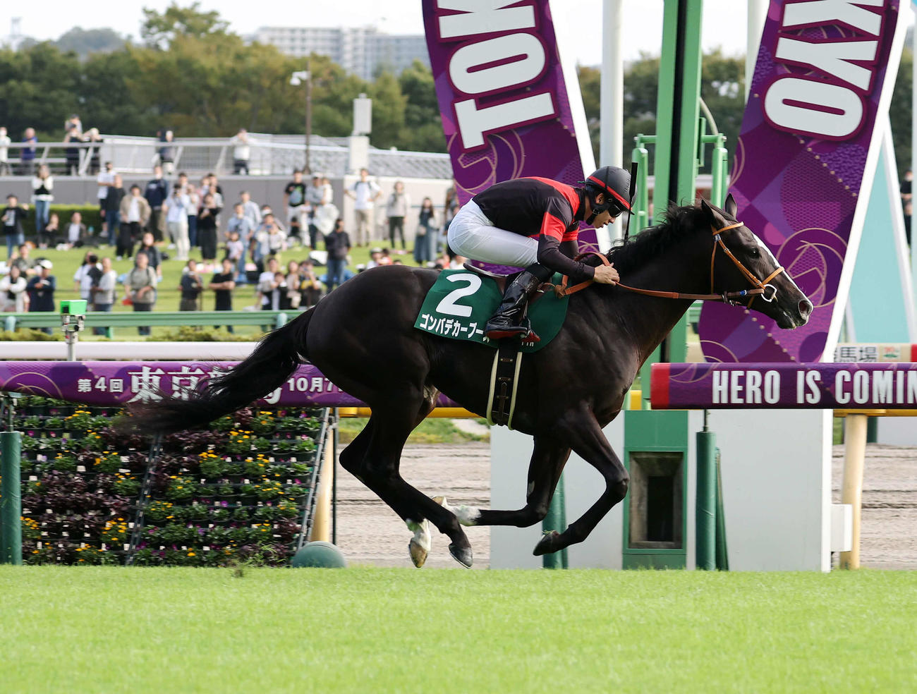 サウジアラビアRCを制したゴンバデカーブースと松山弘平騎手（撮影・鈴木正人）