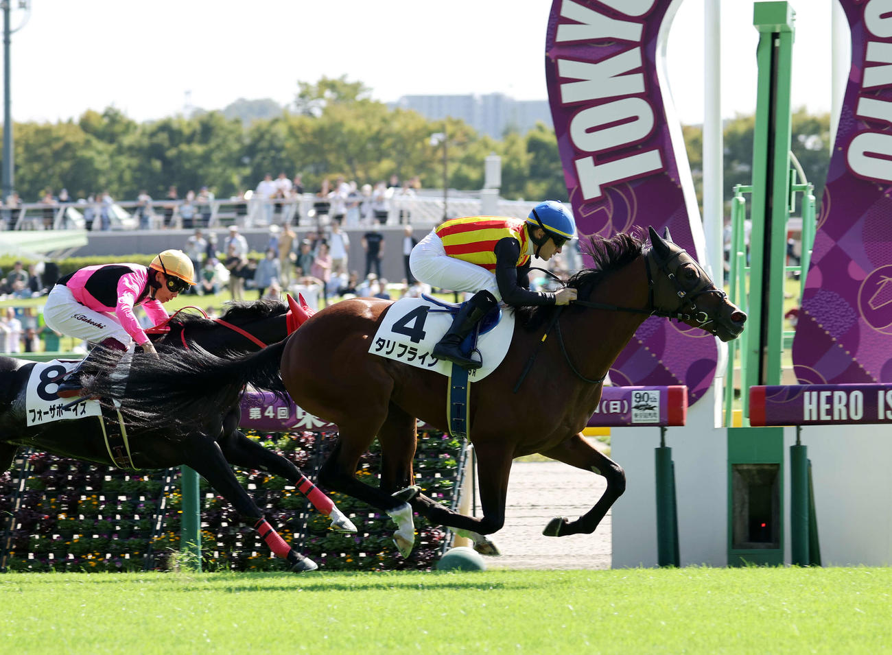 新馬戦を制したタリフライン（右）とルメール騎手（撮影・鈴木正人）