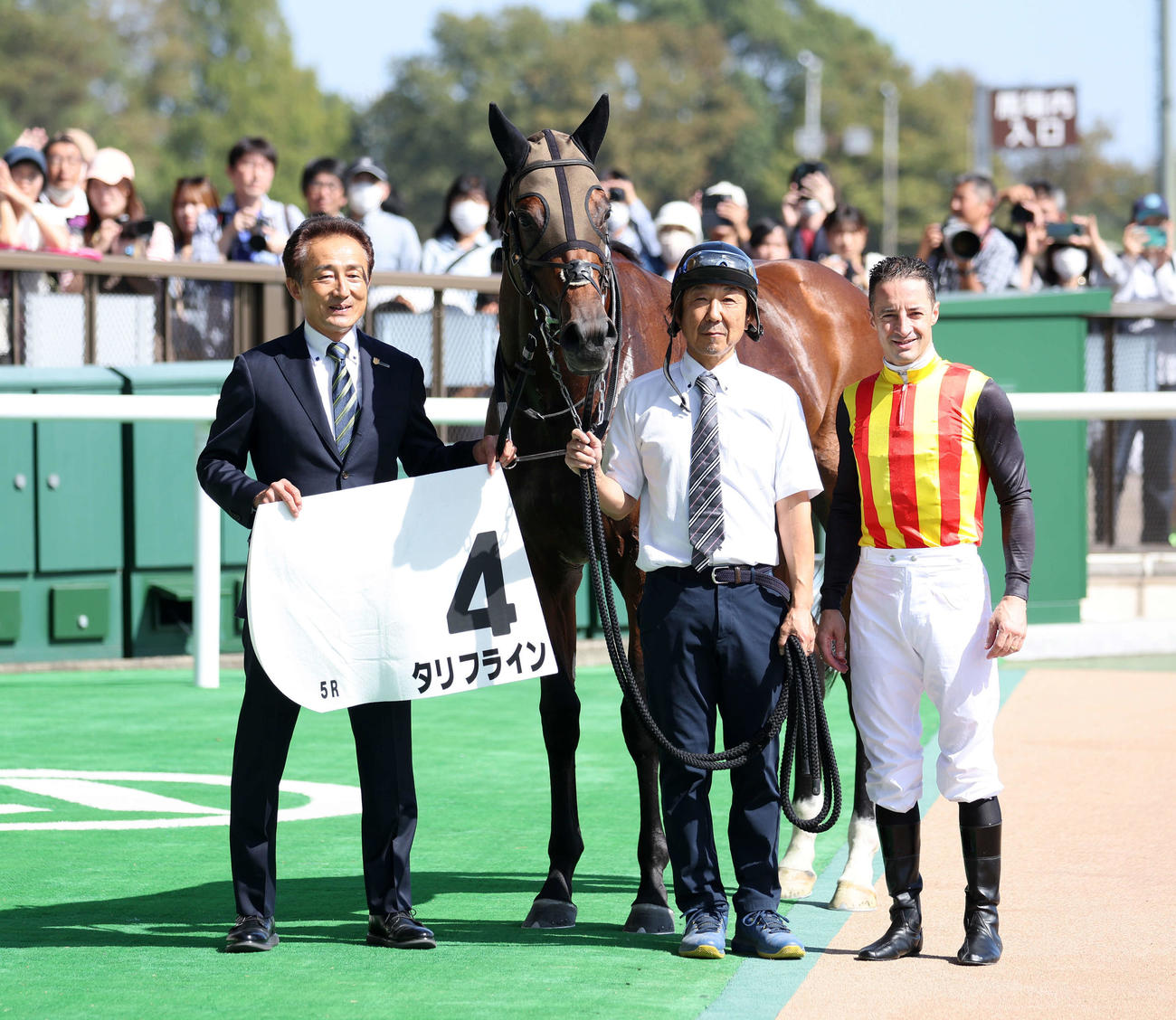 新馬戦を制したタリフラインとC・ルメール騎手（撮影・鈴木正人）