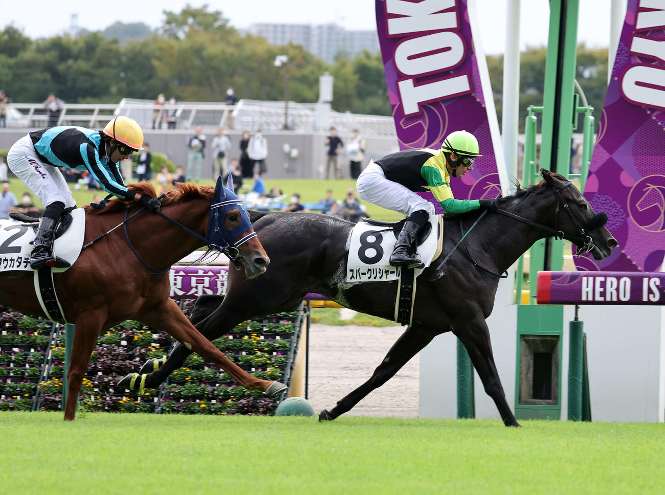2歳未勝利を制したスパークリシャール（右）（撮影・鈴木正人）