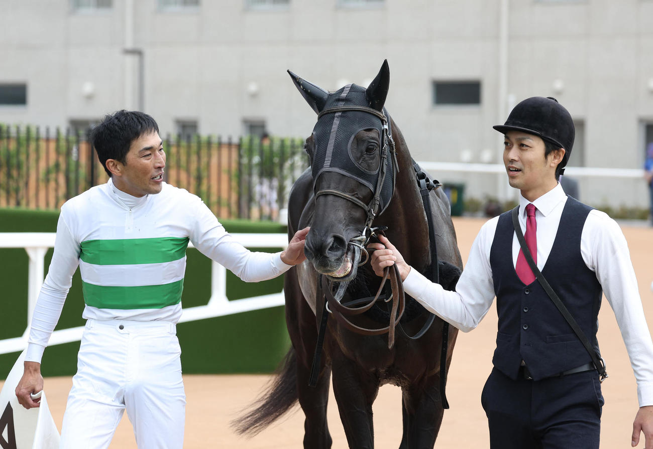 京都4R、障害3歳以上OPを制したロックユーをねぎらう西谷騎手（左）（撮影・白石智彦）