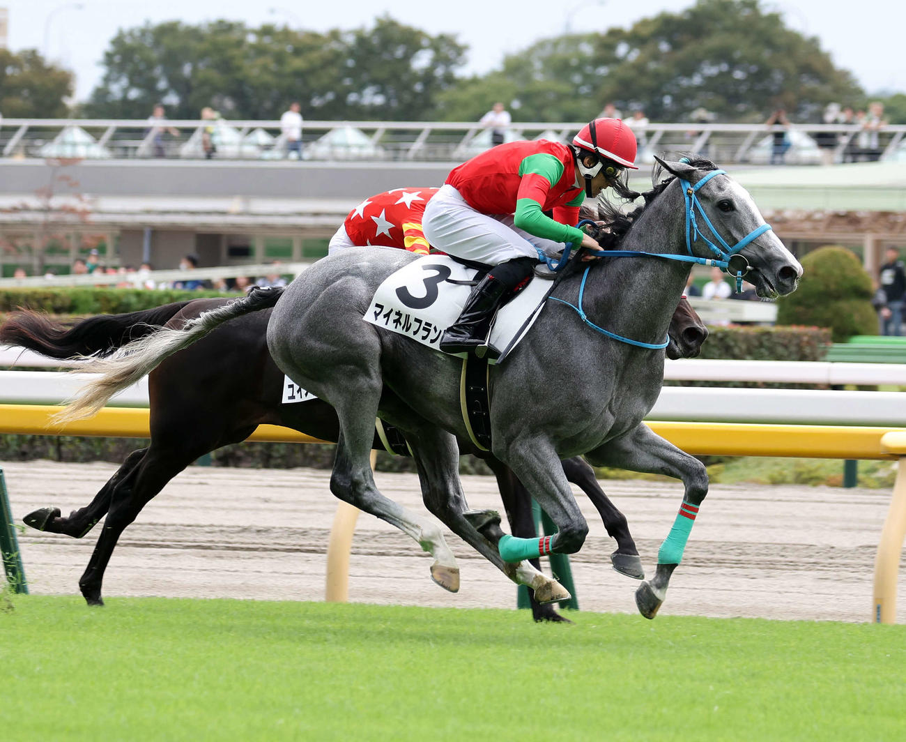 東京3R・2歳未勝利を制したマイネルフランツ（手前）と丹内祐次騎手（撮影・鈴木正人）
