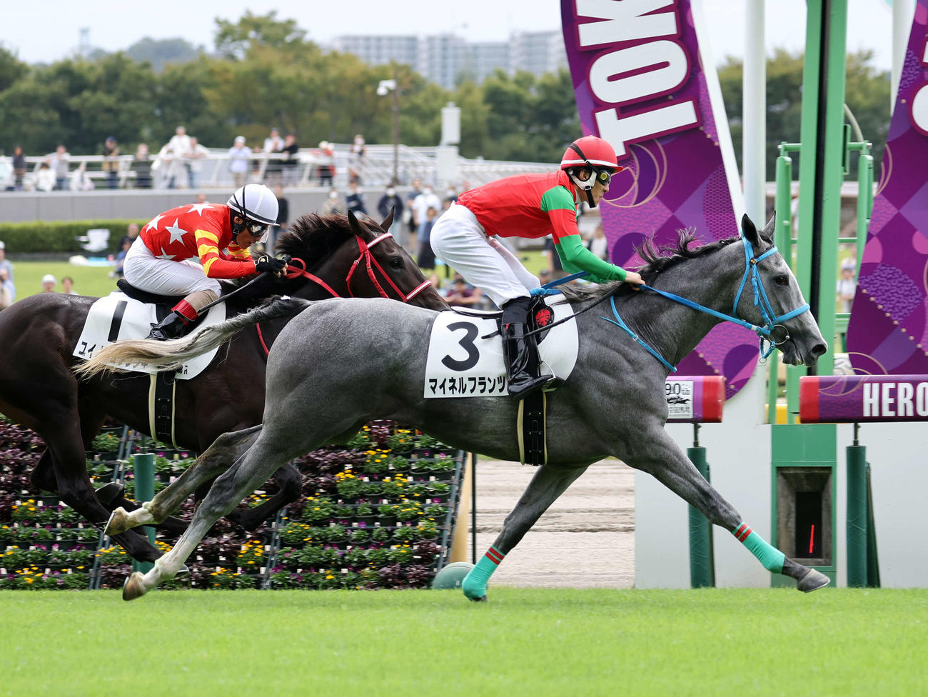 東京3R・2歳未勝利を制したマイネルフランツ（右）と丹内祐次騎手（撮影・鈴木正人）