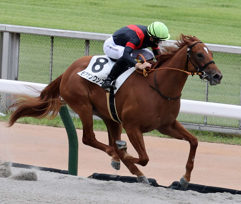 東京4R新馬戦を制したモアザンワンスと西村淳也騎手（撮影・鈴木正人）