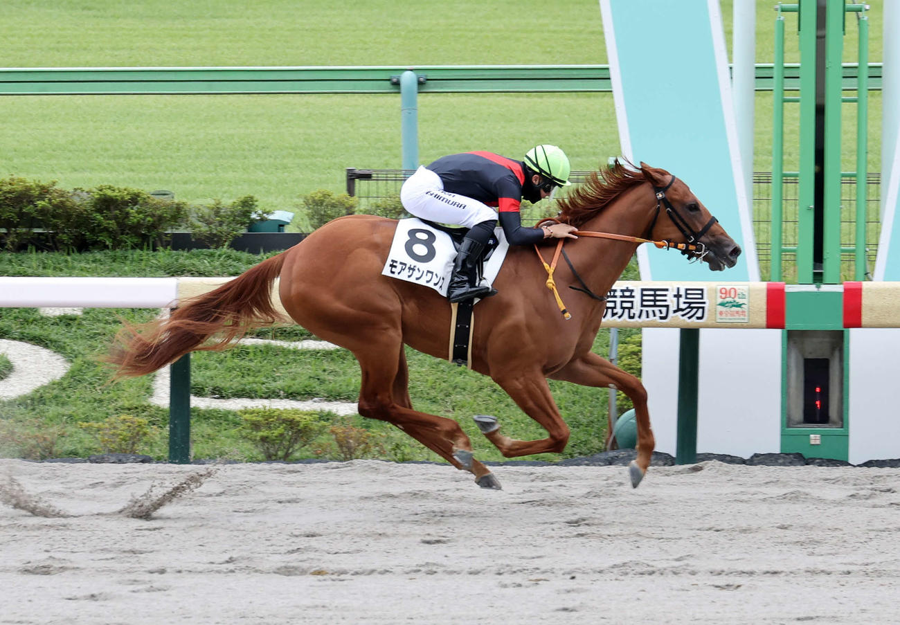 東京4R新馬戦を制したモアザンワンスと西村淳也騎手（撮影・鈴木正人）