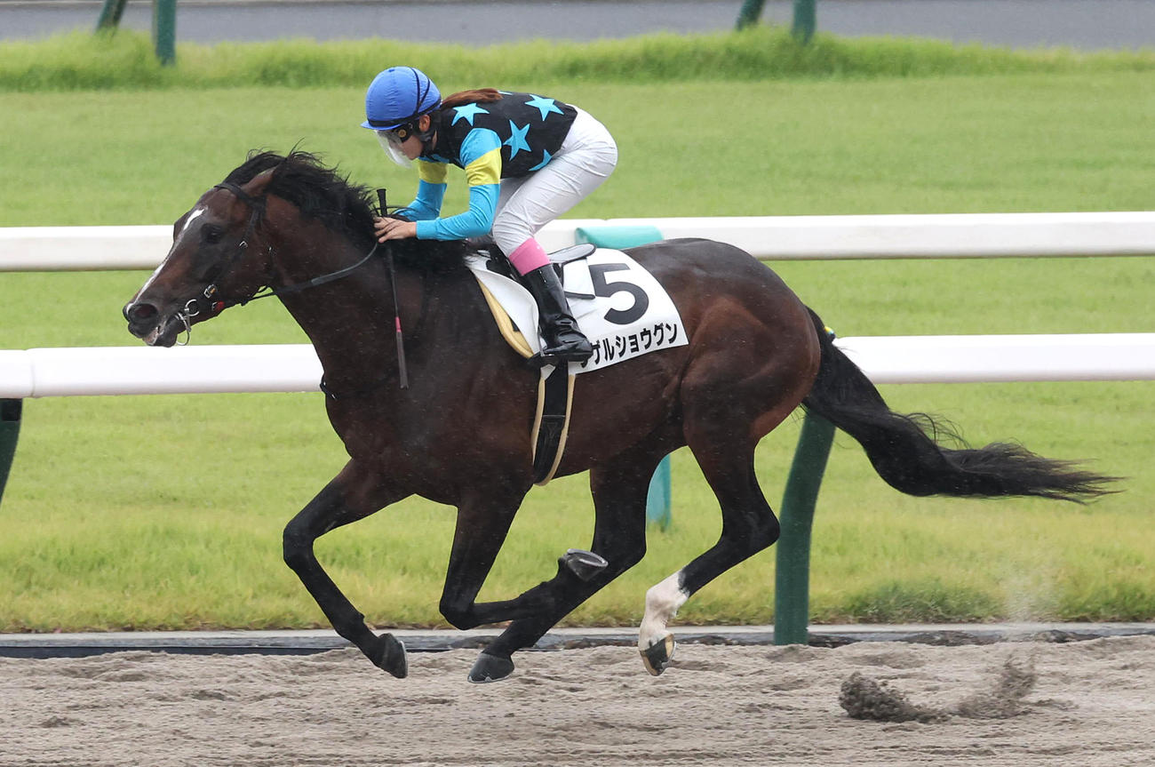 シゲルショウグンで京都7Rを逃げ切って勝利した永島騎手（撮影・白石智彦）