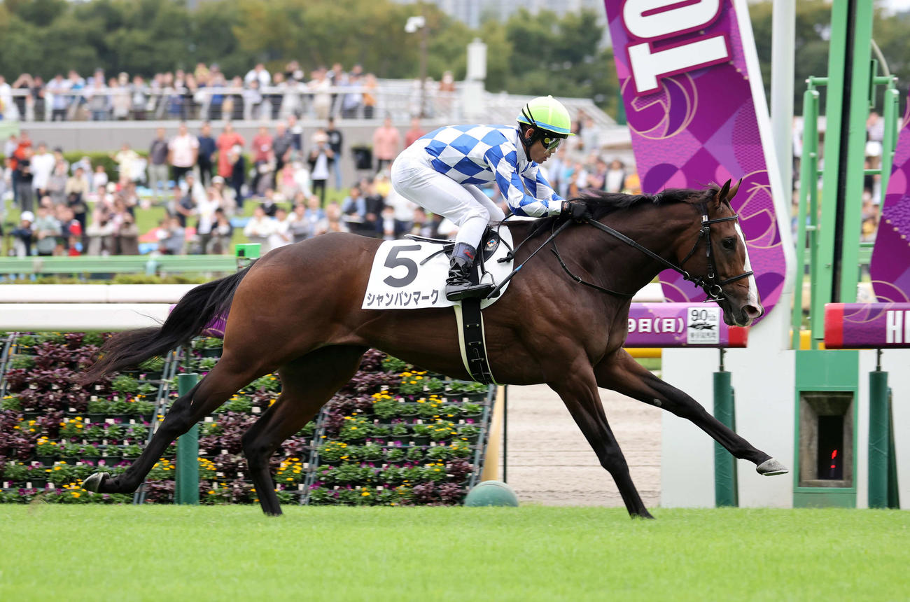 東京5R新馬戦を制したシャンパンマークと戸崎圭太騎手（撮影・鈴木正人）