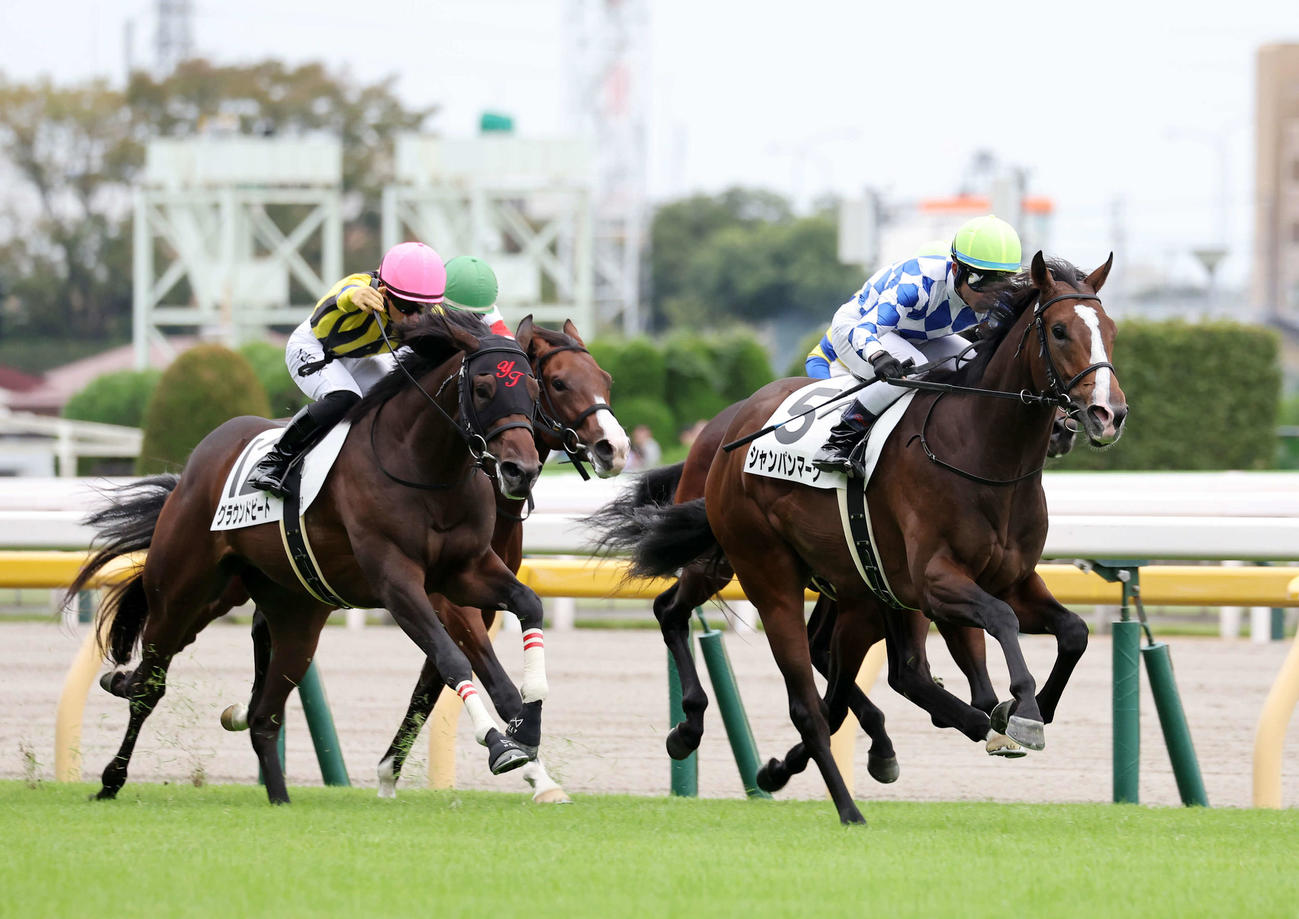 東京5R新馬戦を制したシャンパンマーク（右）と戸崎圭太騎手（撮影・鈴木正人）