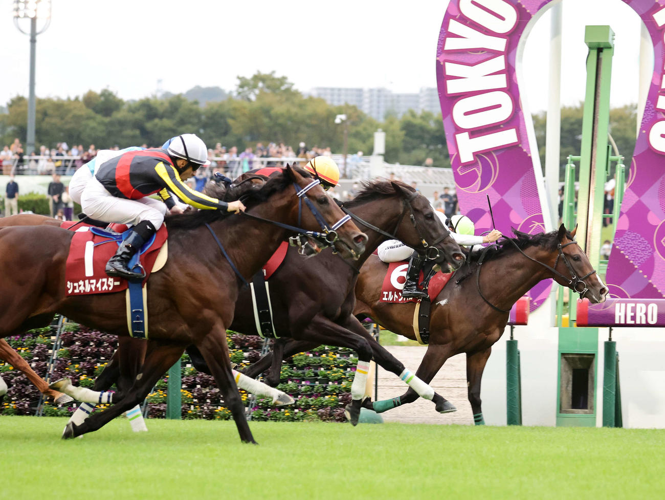 毎日王冠を制したエルトンバローズ（右）と西村淳也騎手（撮影・鈴木正人）