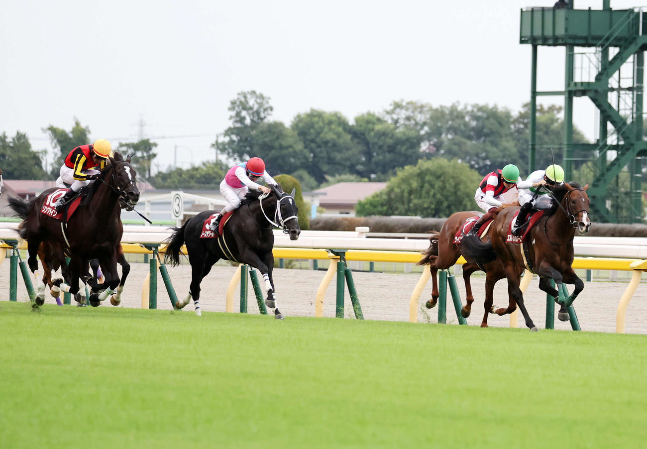 毎日王冠を制したエルトンバローズ（右）と西村淳也騎手（撮影・鈴木正人）