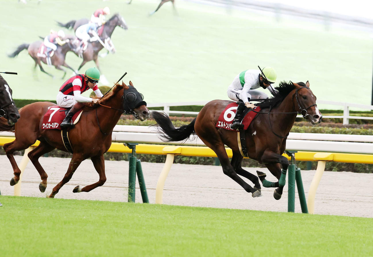 毎日王冠を制したエルトンバローズ（右）と西村淳也騎手（撮影・鈴木正人）