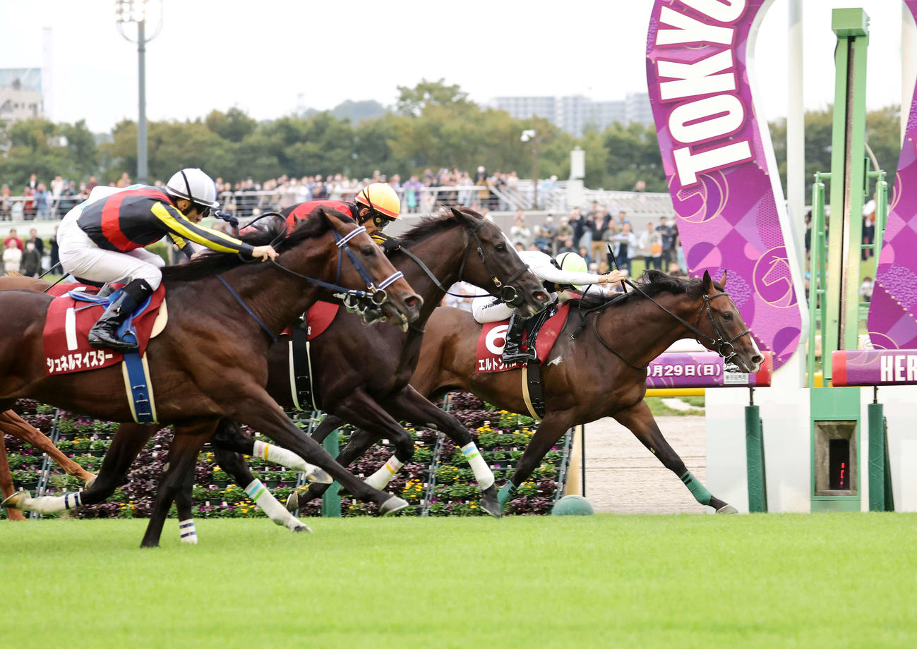 毎日王冠を制したエルトンバローズ（右）と西村淳也騎手（撮影・鈴木正人）