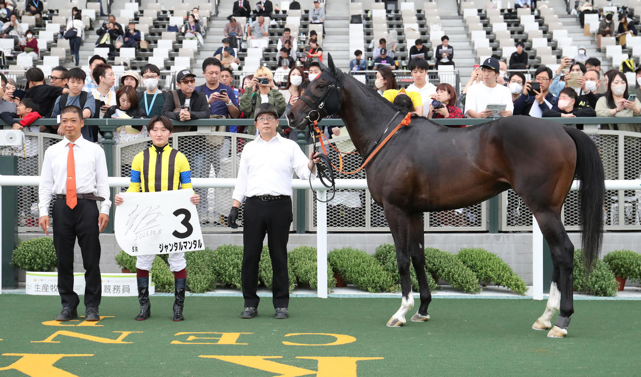 京都5R、新馬戦を制したジャンタルマンタルと口取りに並ぶ鮫島駿騎手（中央）（撮影・白石智彦）