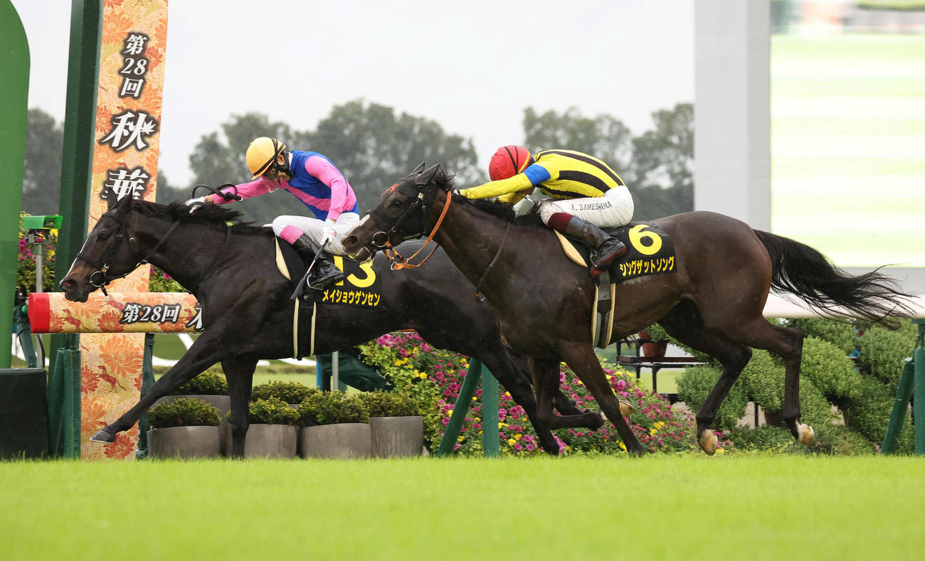 逃げ切ってオパールSを制したメイショウゲンセン（左）（撮影・白石智彦）