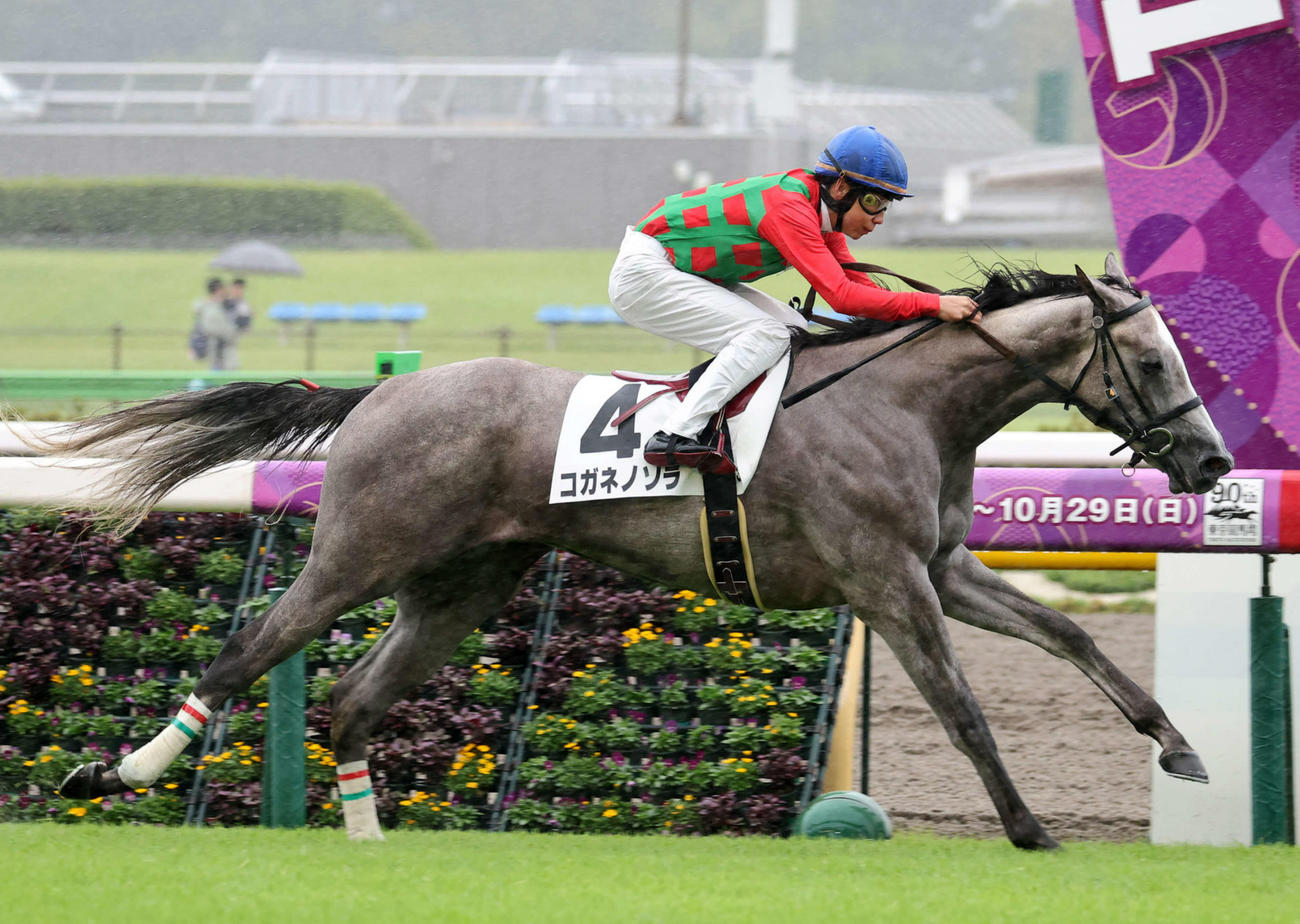 東京3R・2歳未勝利を制したコガネノソラと横山武史騎手（撮影・鈴木正人）