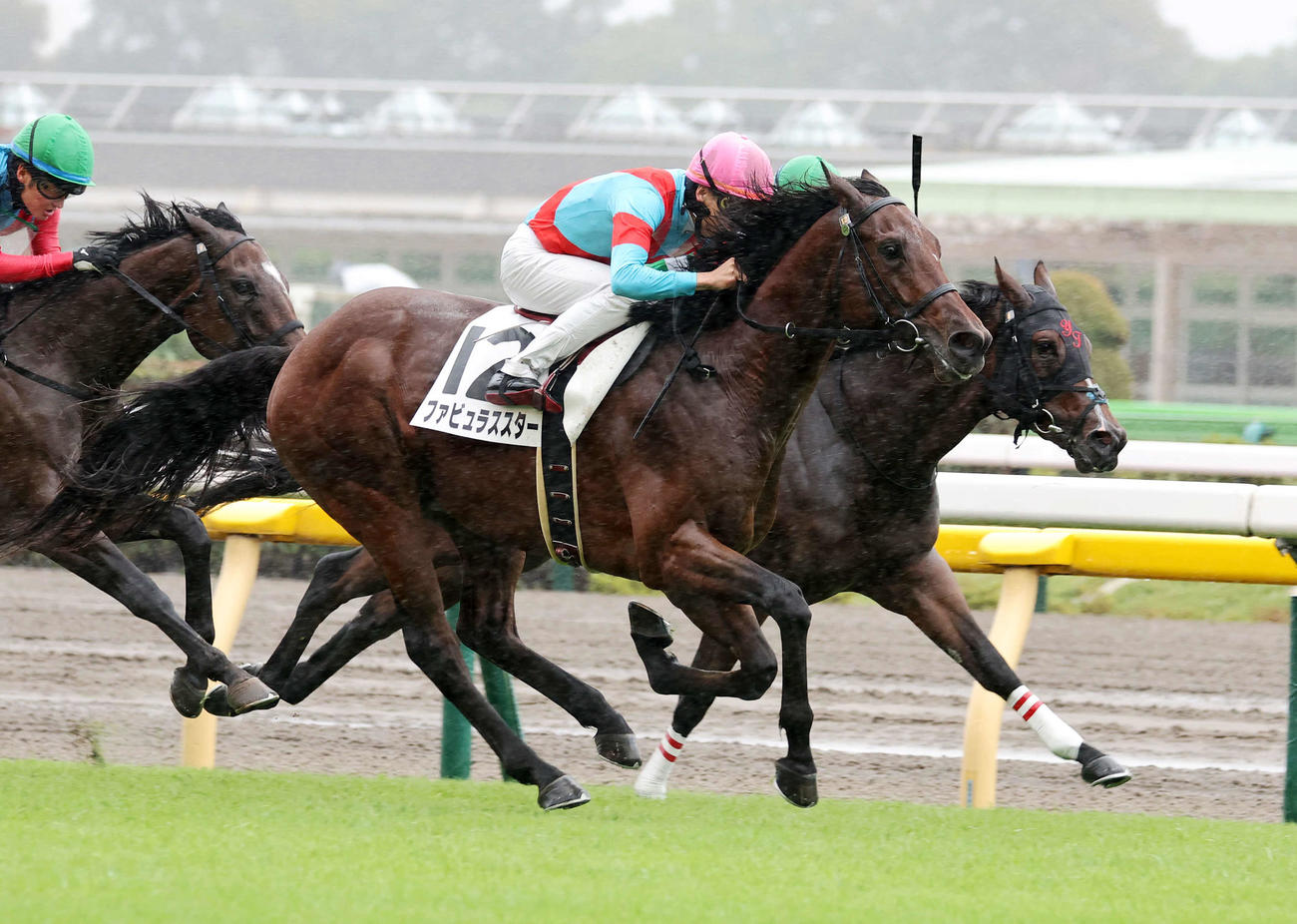 メイクデビュー東京を制したファビュラススター（手前）（撮影・鈴木正人）