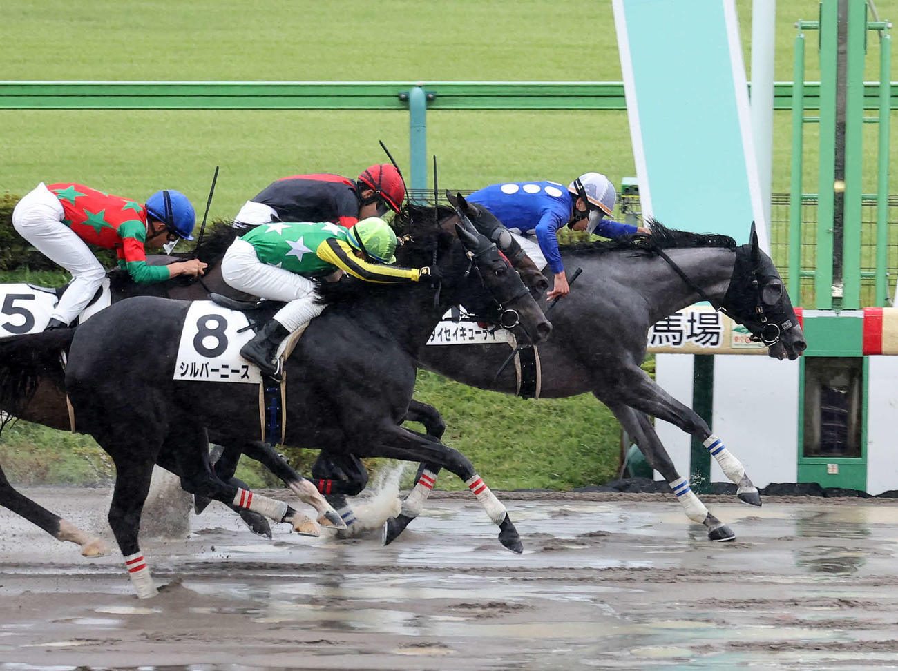 東京7R・3歳上1勝クラスを制したタイセイキューティ（右）と横山武史騎手（撮影・鈴木正人）