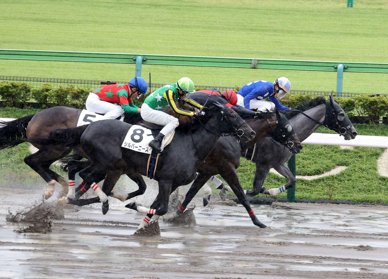 東京7R・3歳上1勝クラスを制したタイセイキューティ（右）と横山武史騎手（撮影・鈴木正人）